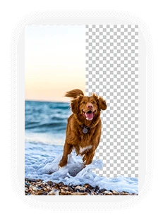 Background Remover | Remove background from an image in just one click