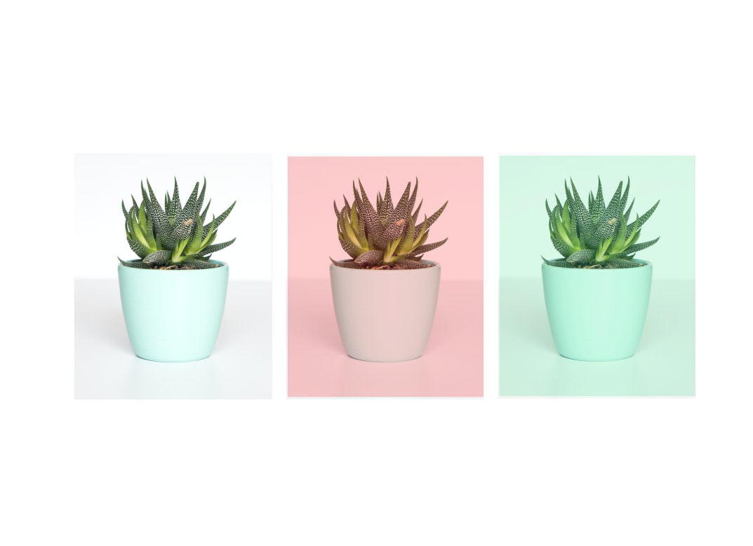 How to blend an image with colors