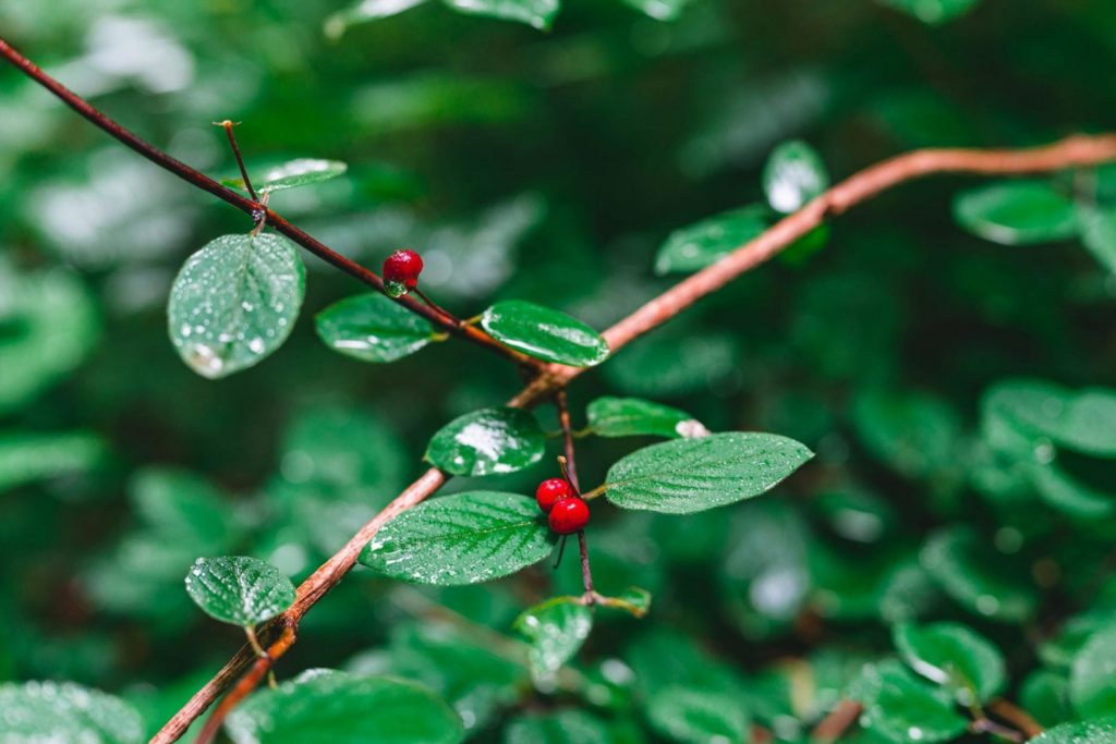 11 Free Stock Photo Sites to Get High-Quality Images 2022 - Desygner