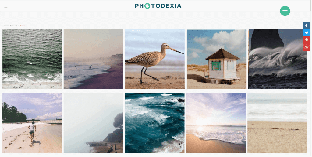 Como escrever em fotos online como um profissional!
